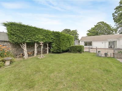 Picture 25